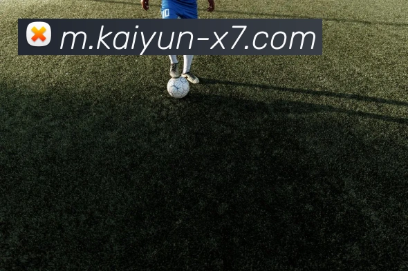 kaiyun体育官网入口服务体系